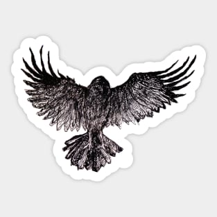 Raven Sticker